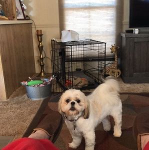 Meet your Posher, James